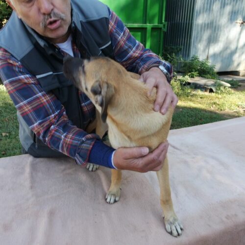 bazsi_2021-10-09_05