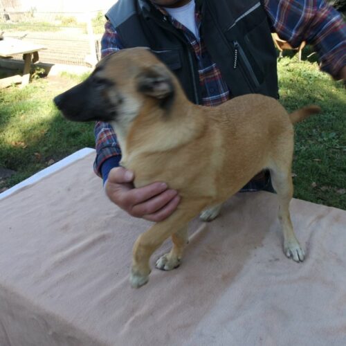 bazsi_2021-10-09_06