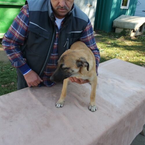 bazsi_2021-10-09_07
