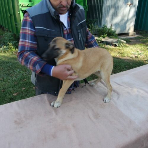 bazsi_2021-10-09_09