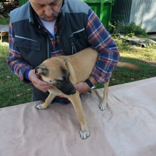 bazsi_2021-10-09_10