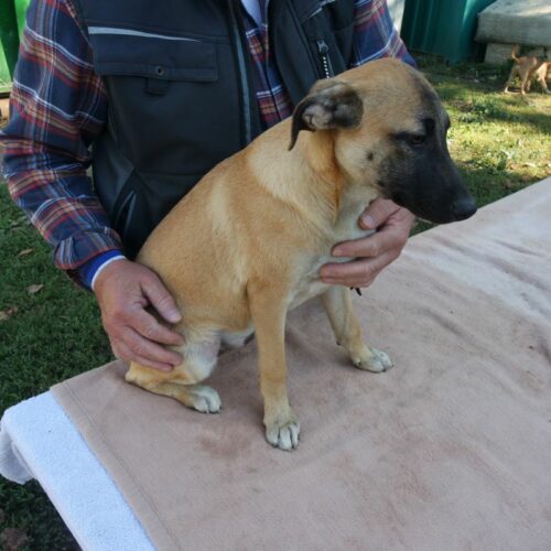 bazsi_2021-10-09_21