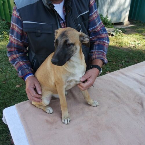 bazsi_2021-10-09_22