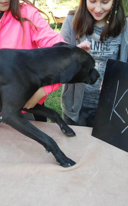 kyra_2021-10-09_02