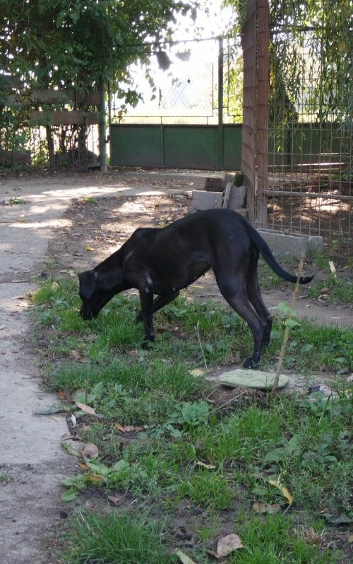 kyra_2021-10-09_24