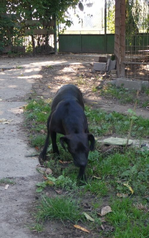 kyra_2021-10-09_25