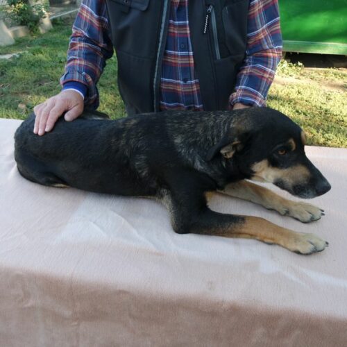 lola_2021-10-09_03