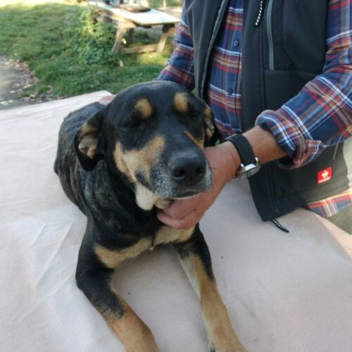 lola_2021-10-09_04