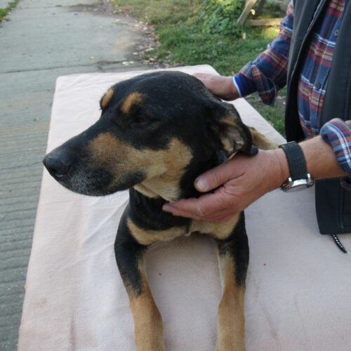 lola_2021-10-09_05