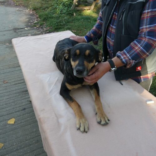 lola_2021-10-09_06