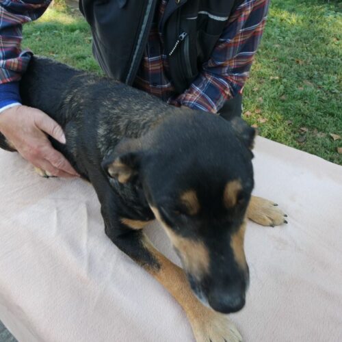 lola_2021-10-09_07