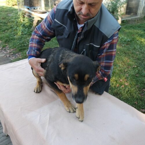 lola_2021-10-09_08