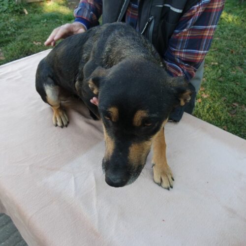 lola_2021-10-09_09