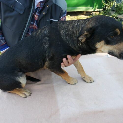 lola_2021-10-09_10