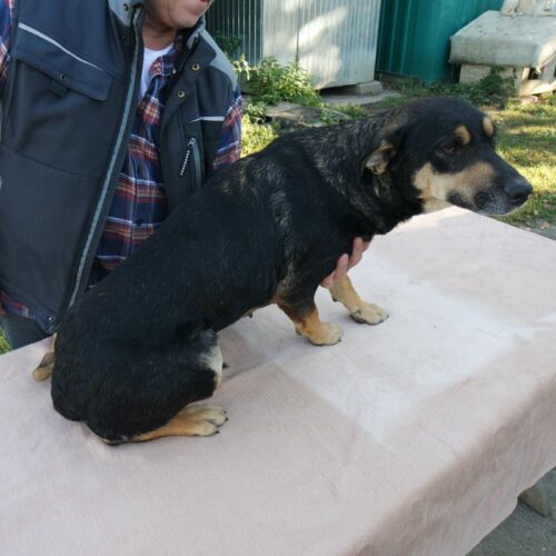 lola_2021-10-09_11