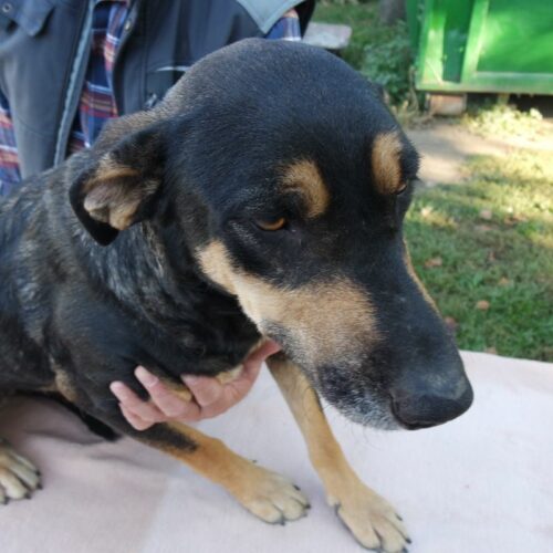lola_2021-10-09_13