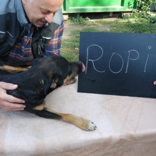 ropi_2021-10-09_01