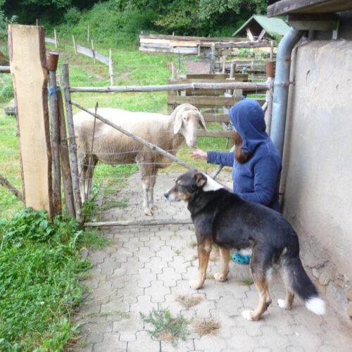 marcipan_2022-04-23_03