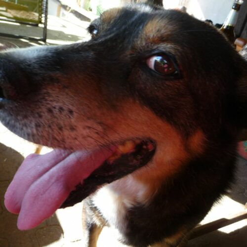marcipan_2022-04-23_10