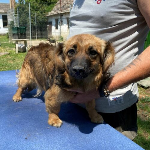 bella_2022-06-23_03
