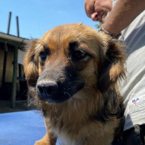 bella_2022-06-23_06