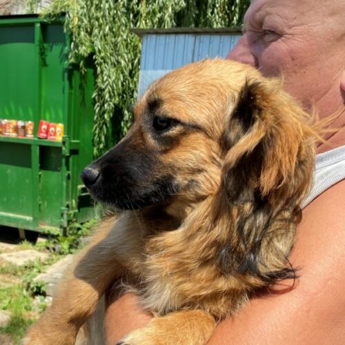 bella_2022-06-23_08