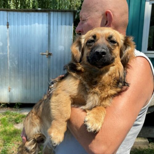bella_2022-06-23_09