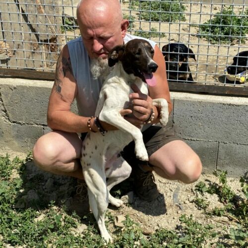 bicska_2022-06-27_03