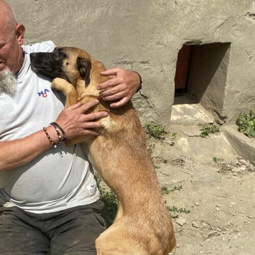 reka_2022-06-23_04