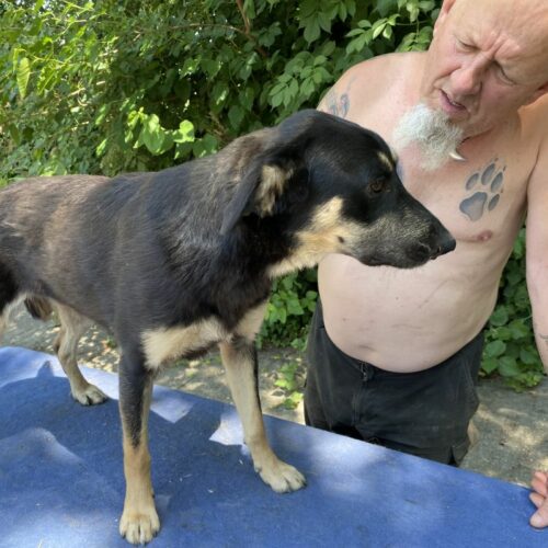 fleki_2022-07-11_07