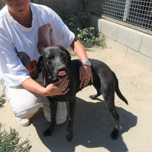 edith_2022-08-19_05