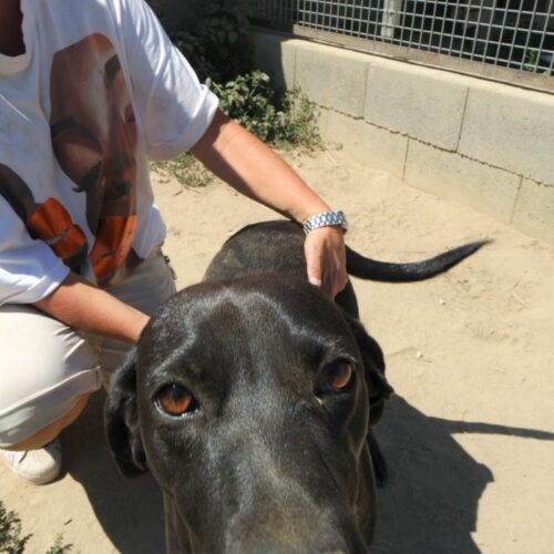 edith_2022-08-19_06