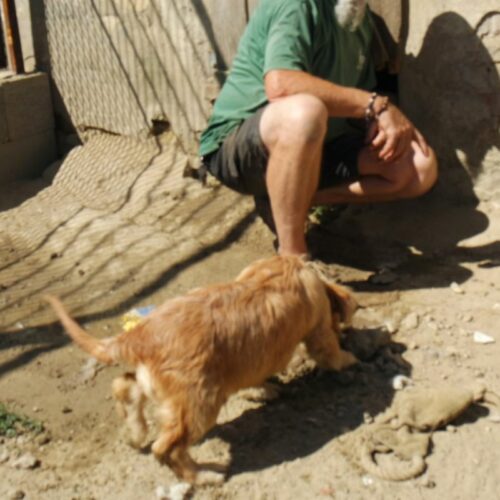 randy_2022-08-19_01