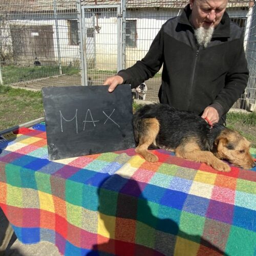 max_2023-03-26_01