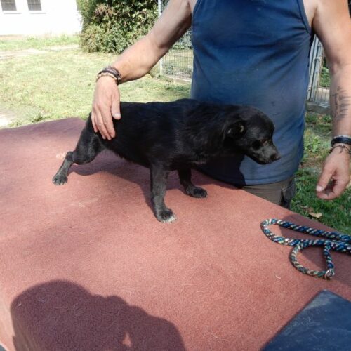 fredi_2023-07-29_05