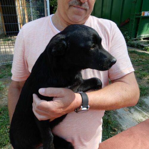 fredi_2023-07-29_08