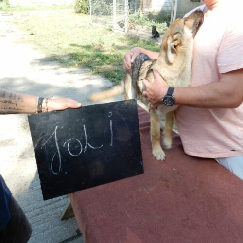 joli_2023-07-29_13