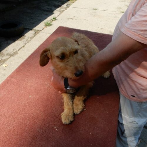 mazli_2023-07-29_09
