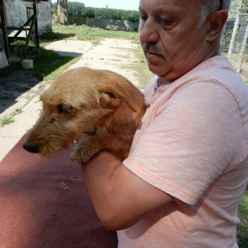 mazli_2023-07-29_12