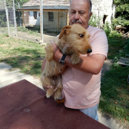 mazli_2023-07-29_13