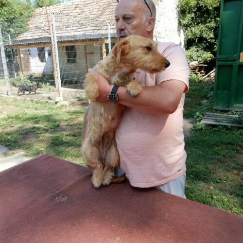 mazli_2023-07-29_17