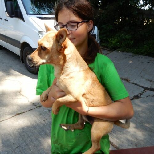mazsola_2023-07-29_13