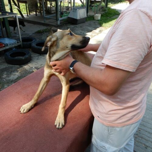 muki_2023-07-29_06