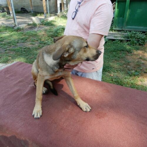 muki_2023-07-29_08