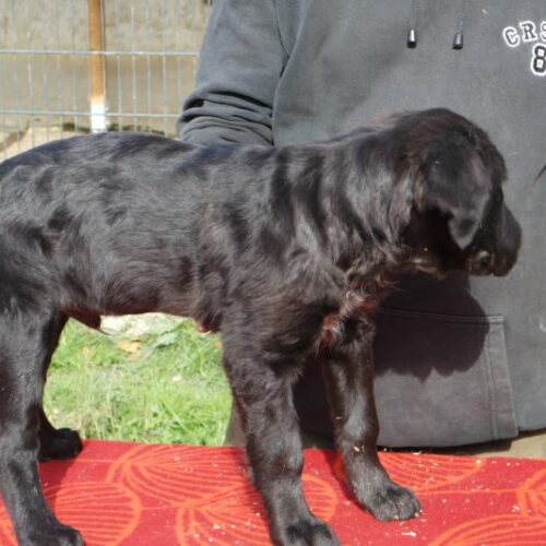 laci_2023-11-09_02