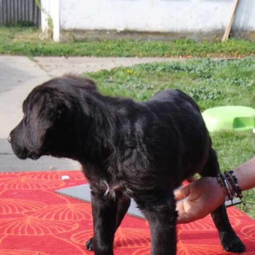 laci_2023-11-09_13