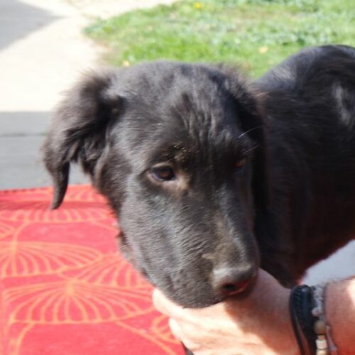 laci_2023-11-09_16