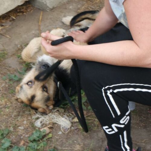 rebeka_2023-11-09_05