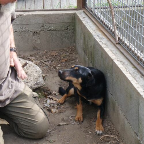 tompi_2023-11-09_12