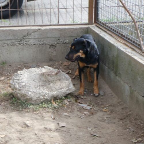 tompi_2023-11-09_19